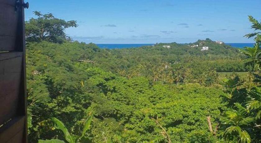 Bamboojam Villa Las Terrenas Exterior foto