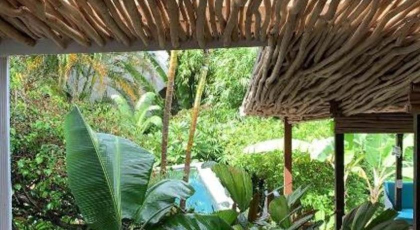 Bamboojam Villa Las Terrenas Exterior foto